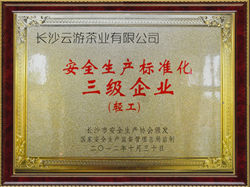 安全生產(chǎn)標準化三級企業(yè)